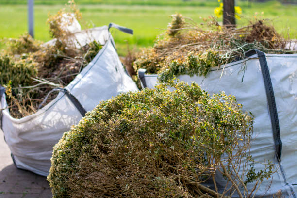 Professional Junk Removal Services in Bishop, TX